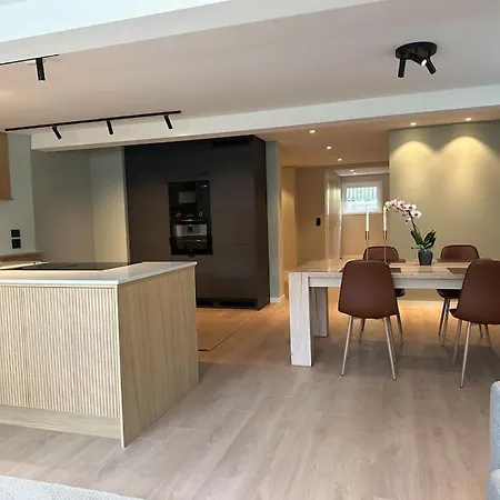 Daire Stor Og Lys Leilighet I Hus Oslo