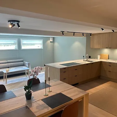 Stor Og Lys Leilighet I Hus Oslo