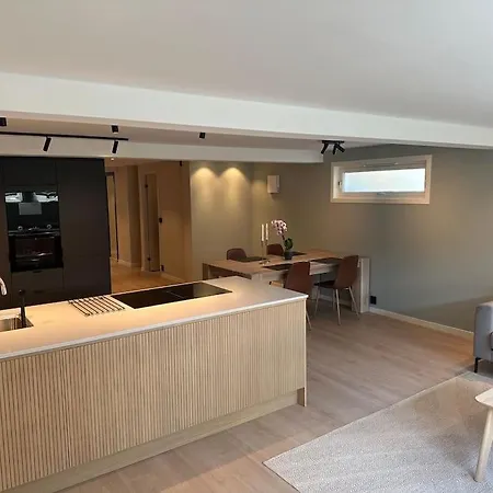 Appartement Stor Og Lys I Hus Oslo